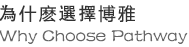 為什麽選擇博雅